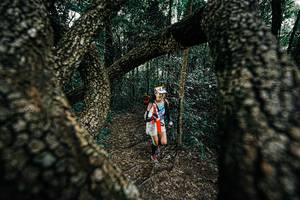 BIB: 
                            <button type="button" onclick="openModal(25392268)" class="btn btn-primary btn-sm float-right btn-popup" data-toggle="modal" data-target=".modal-high-quality">
                        <i class="fas fa-shopping-cart"></i> Add to Cart
                    </button>
                                            <button type="button" onclick="isThisMe(25392268, true)" class="btn btn-success btn-sm float-right btn-popup btn-isme hidden" data-toggle="tooltip" data-placement="bottom" title="นี่คือรูปของคุณใช่ไหม คลิกที่นี่เพื่อเอาเข้าอัลบั้ม">
                        <i class="fas fa-plus"></i> Add to album
                    </button>
                    <button type="button" onclick="isThisMe(25392268, false)" class="btn btn-warning btn-sm float-right btn-popup btn-isnotme hidden">
                        <i class="fas fa-ban"></i> Remove from album
                    </button>